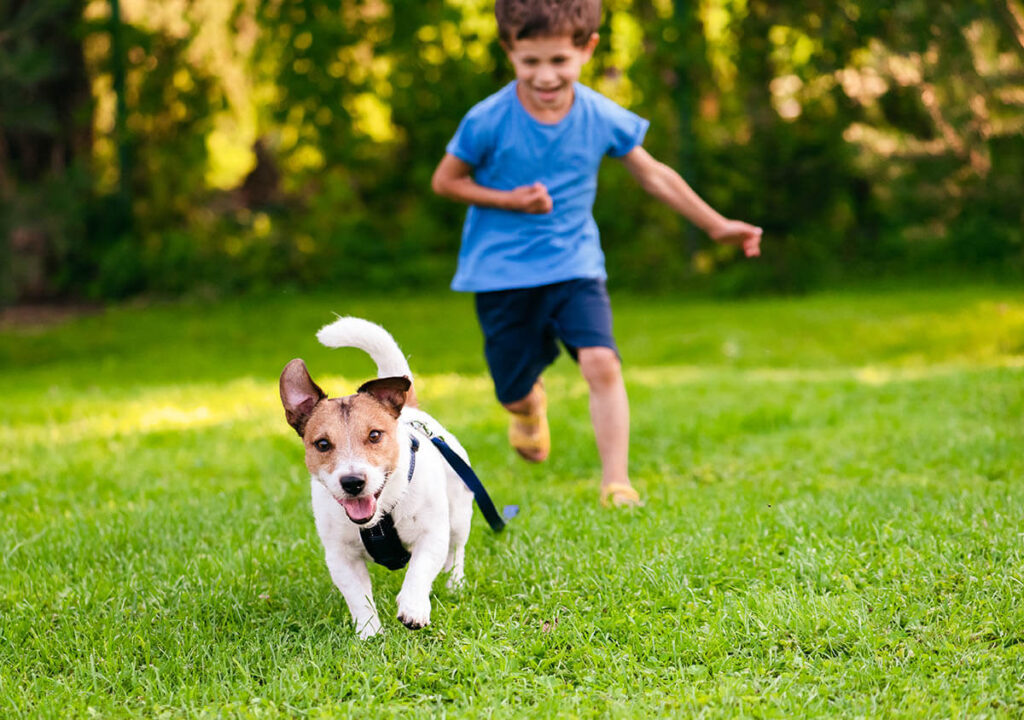 Kutya fut a kisfiú előtt